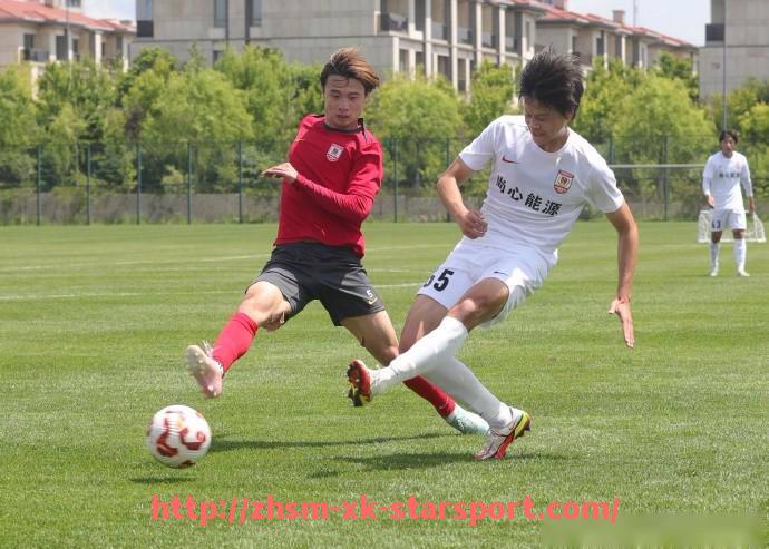 星空体育-法甲青训球员发展路径及成功案例分享