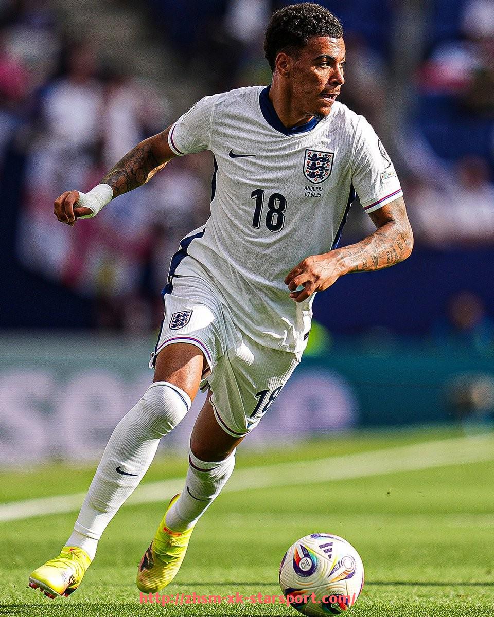 星空体育-世俱杯主办城市社会保障体系应急扩容机制应对能力调查