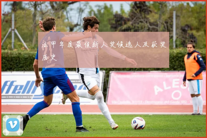 法甲年度最佳新人奖候选人及获奖历史