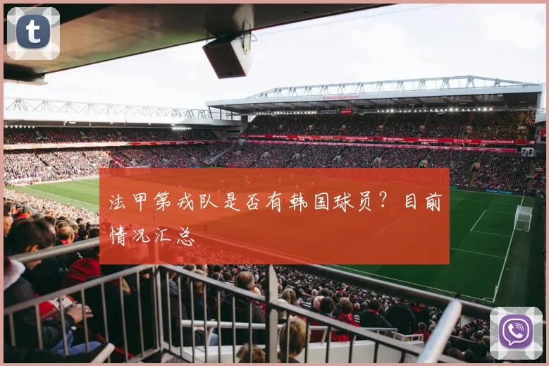 法甲第戎队是否有韩国球员？目前情况汇总