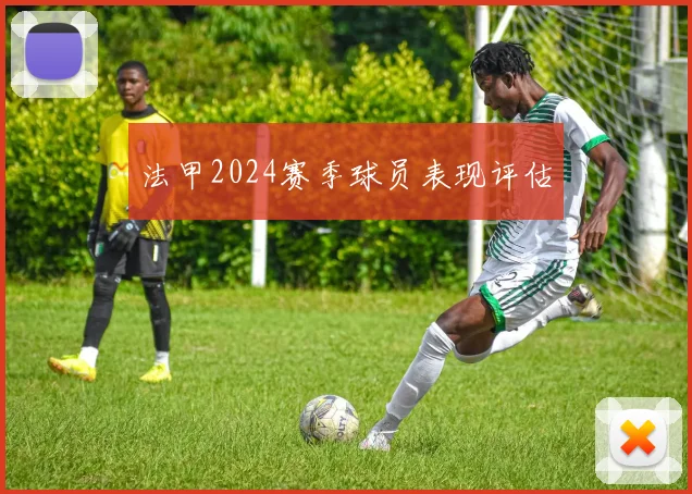 法甲2024赛季球员表现评估