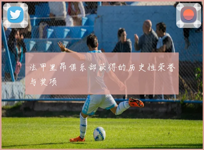 法甲里昂俱乐部获得的历史性荣誉与奖项