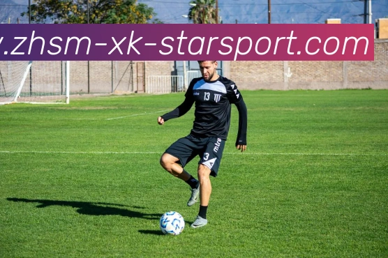 星空体育平台生态图